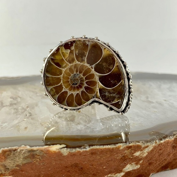 💥NWOT💥 Beautiful Ammonite Nautilus Ring In Sterling Silver - Picture 2 of 3